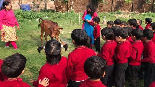 Farm visit