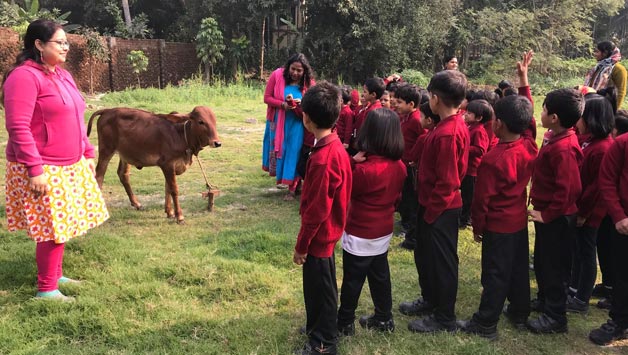 Farm visit